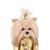 Lucky Doggy Yoyo 38 cm Orange Toys pluszowy piesek jasnobeżowy yorkshire terrier, zgina łapki, złota kurteczka, tiulowa spódniczka, kokardka