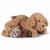 Piesek mama z 3 szczeniętami Cozy Noxxiez FP506