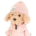 Lucky Doggy pudel 38 cm Orange Toys