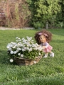 Lalka Stefka Lullu Dolls